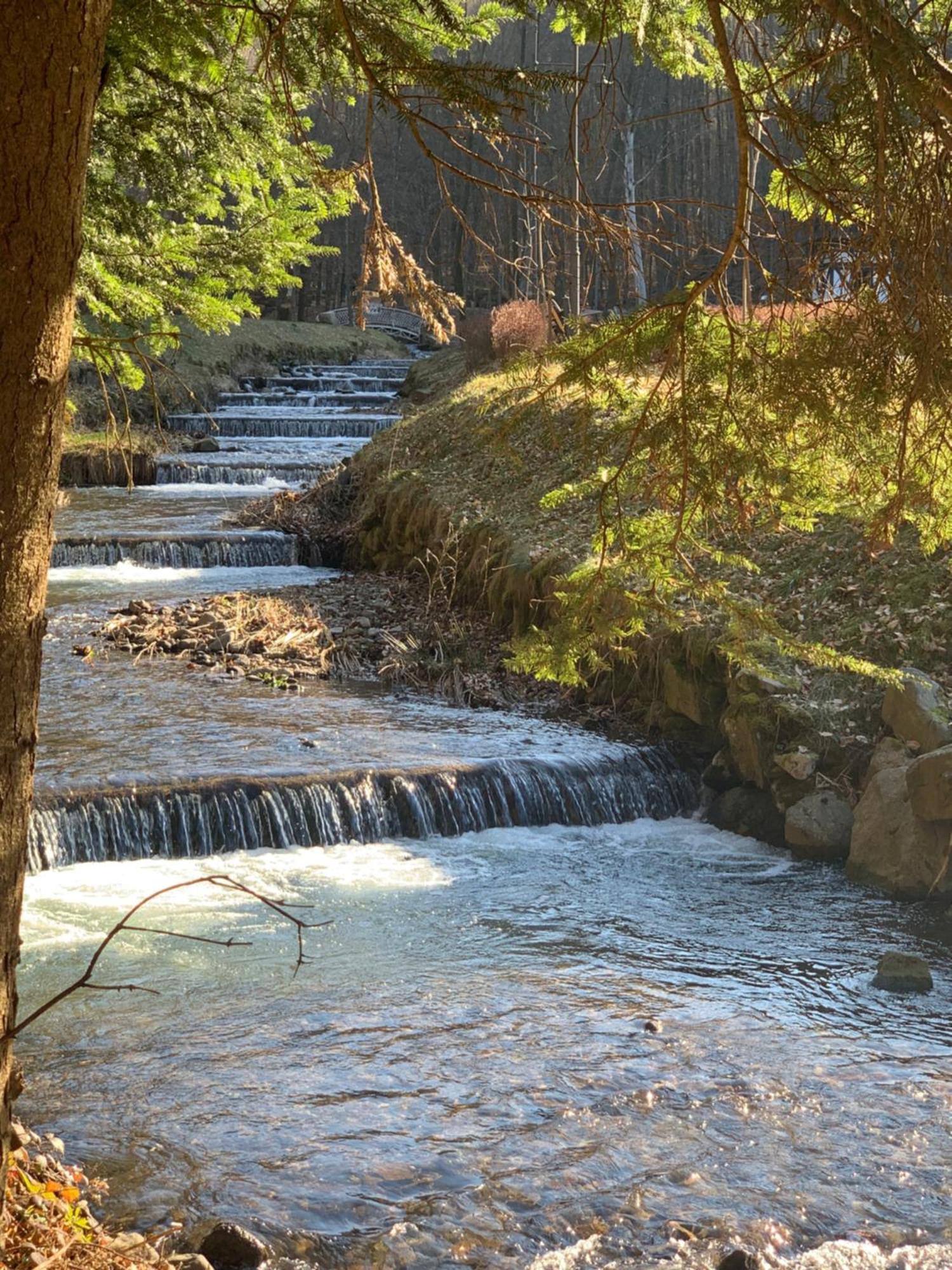 Elf-Cottage Tur'ya Paseka Dış mekan fotoğraf